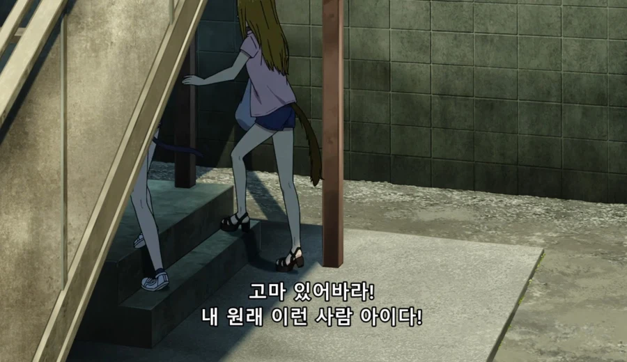 담배고양이) 인터넷 방송하는 하메네코