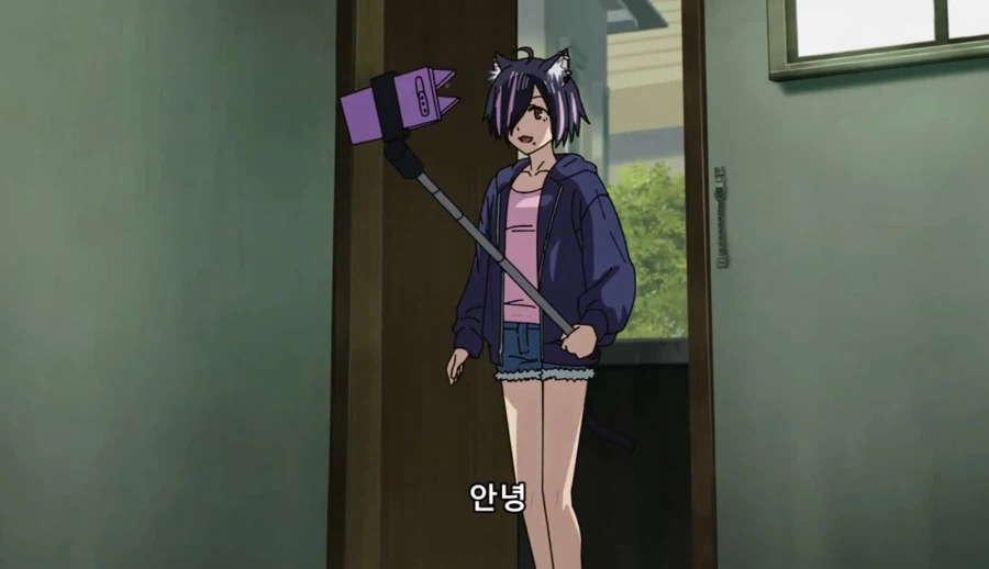 담배고양이) 인터넷 방송하는 하메네코
