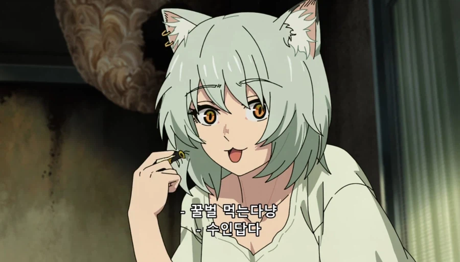 담배고양이) 인터넷 방송하는 하메네코