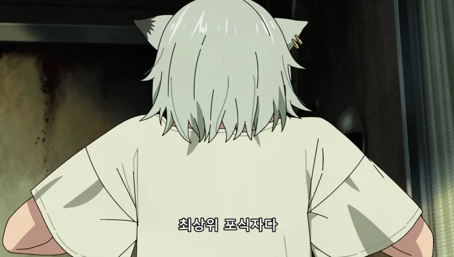 담배고양이) 인터넷 방송하는 하메네코