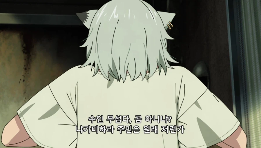 담배고양이) 인터넷 방송하는 하메네코