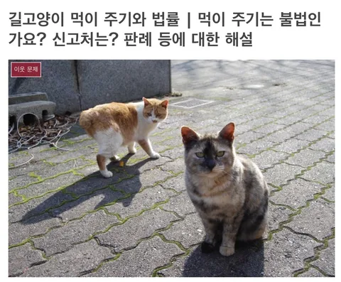 일본) 캣맘이 지는 민형사상 책임을 Araboja