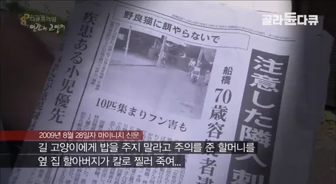 일본) 캣맘이 지는 민형사상 책임을 Araboja