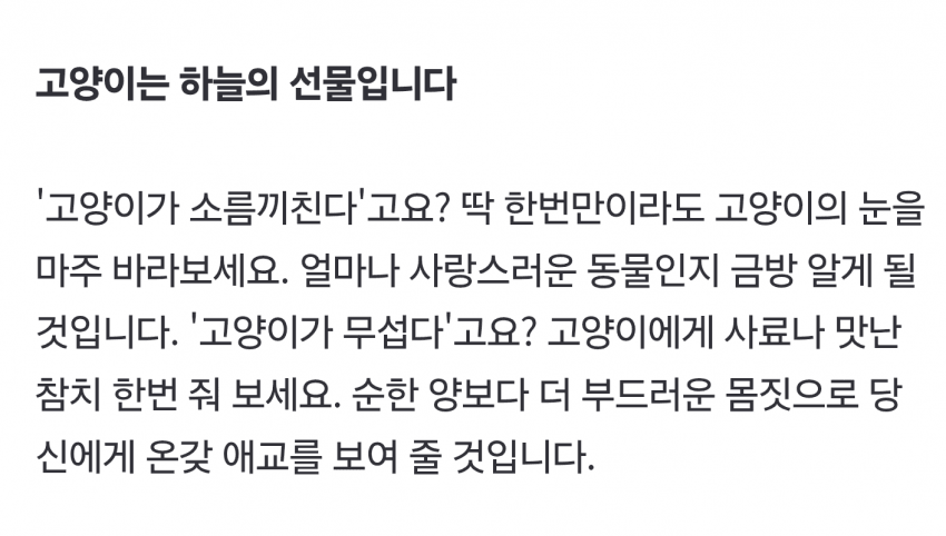 새덕후 저격한 40년 새 전문가