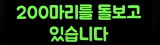 청문회 불축석 레전드 사유