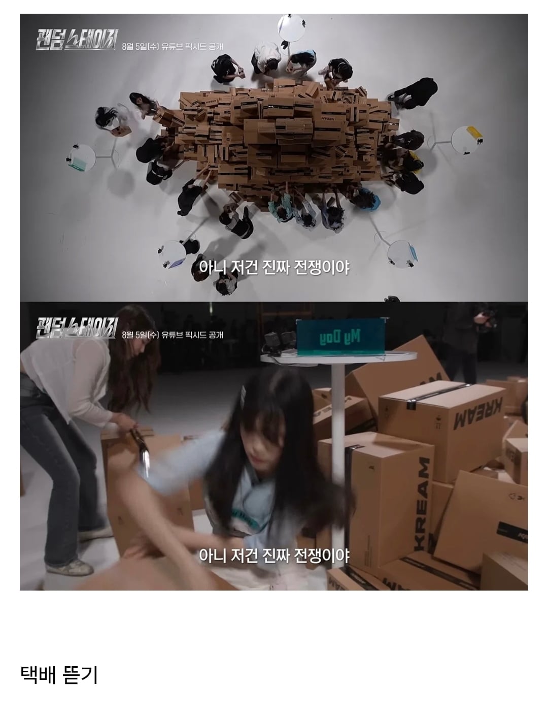 아이돌 팬덤 서바이벌 나온다는 팬덤들 + 대결종목