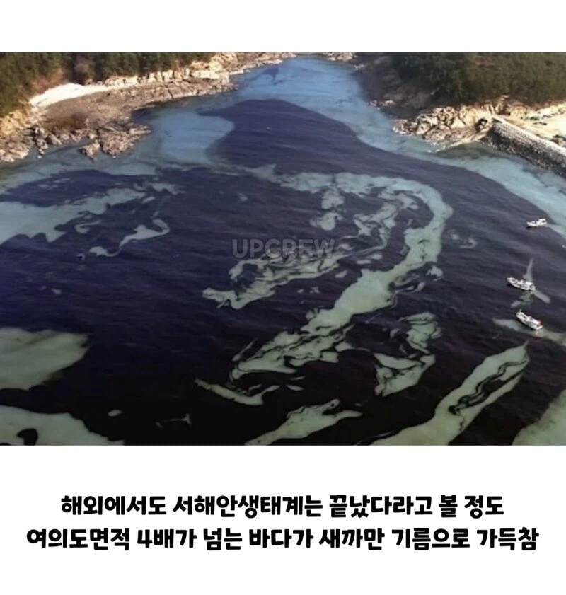 ??? : 한국인들아 느그 그거 복구 20년 걸린다
