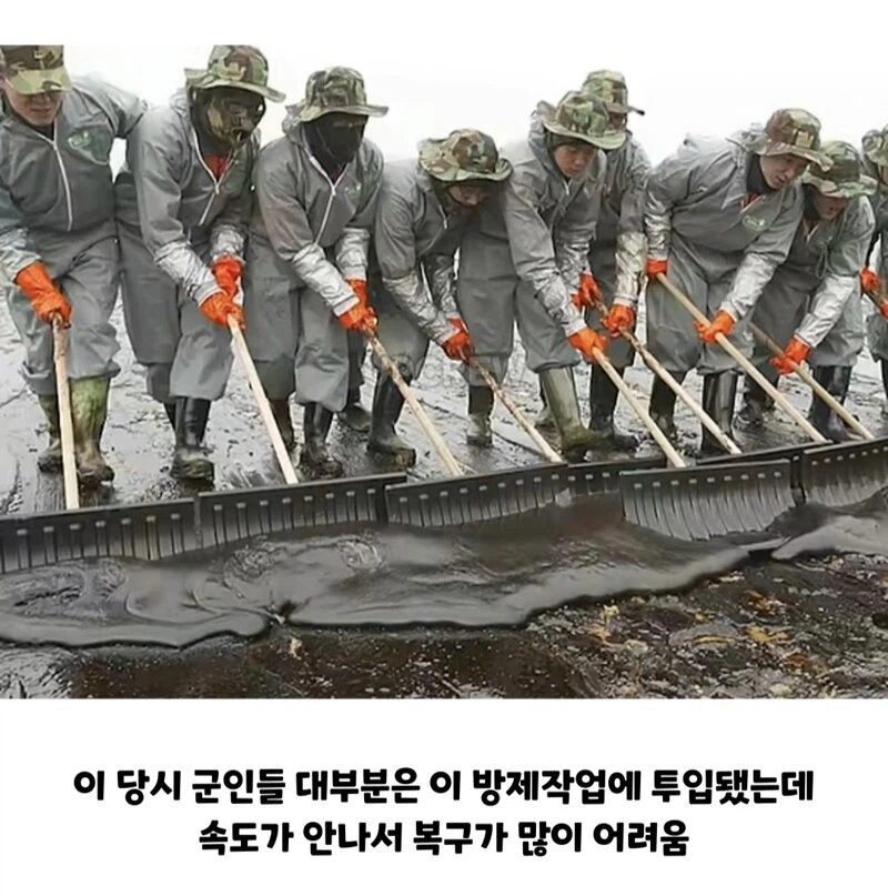??? : 한국인들아 느그 그거 복구 20년 걸린다