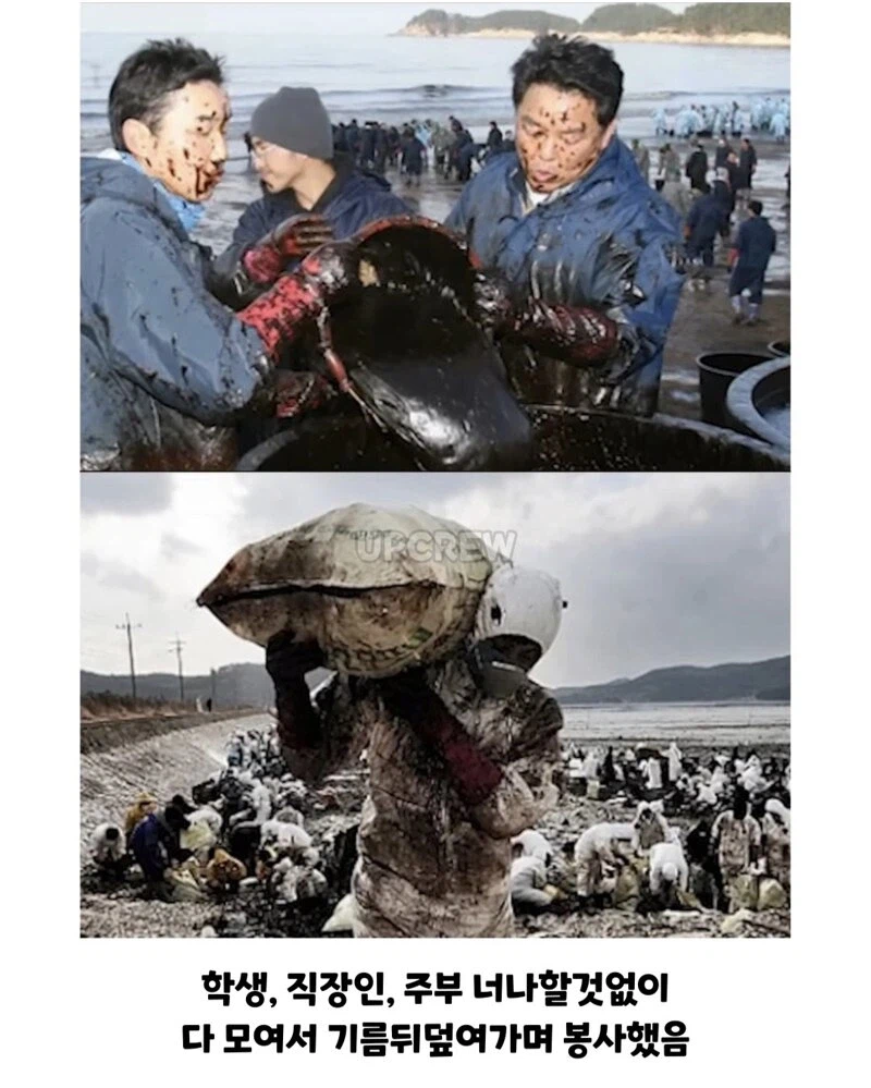 ??? : 한국인들아 느그 그거 복구 20년 걸린다