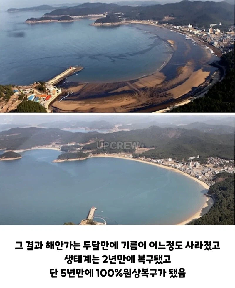 ??? : 한국인들아 느그 그거 복구 20년 걸린다