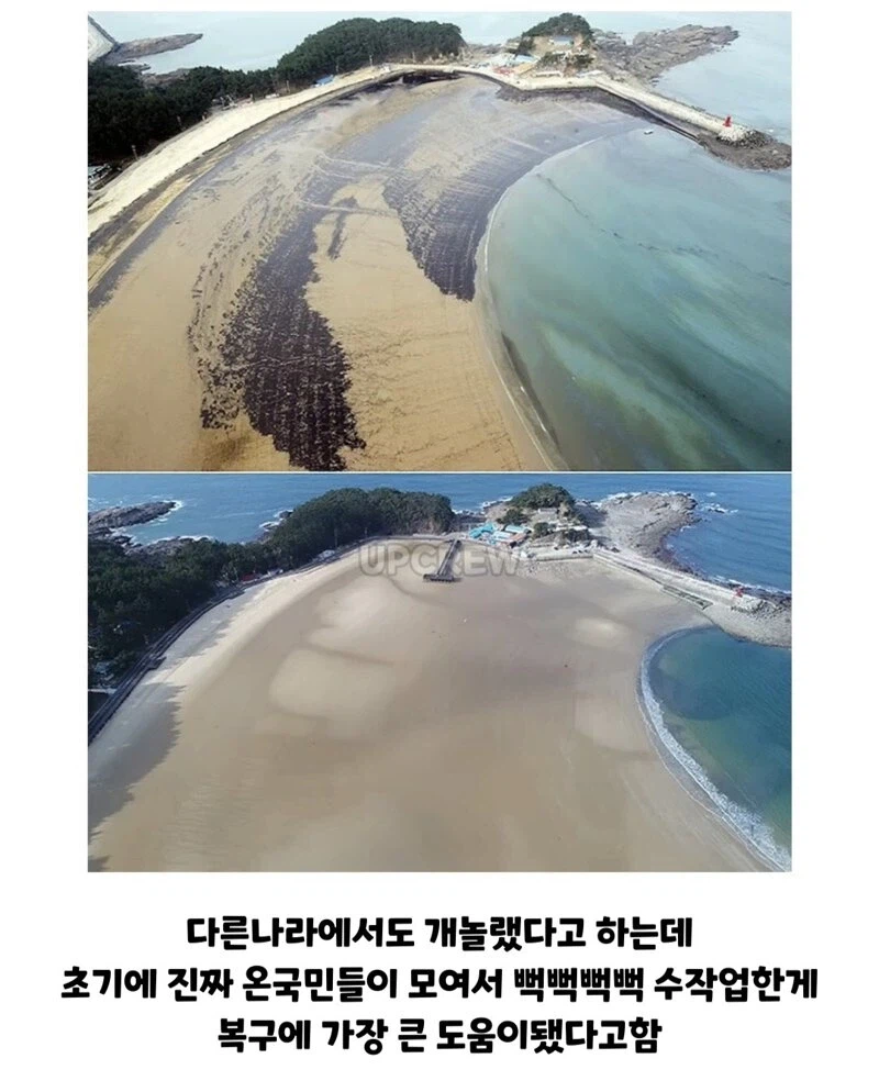??? : 한국인들아 느그 그거 복구 20년 걸린다