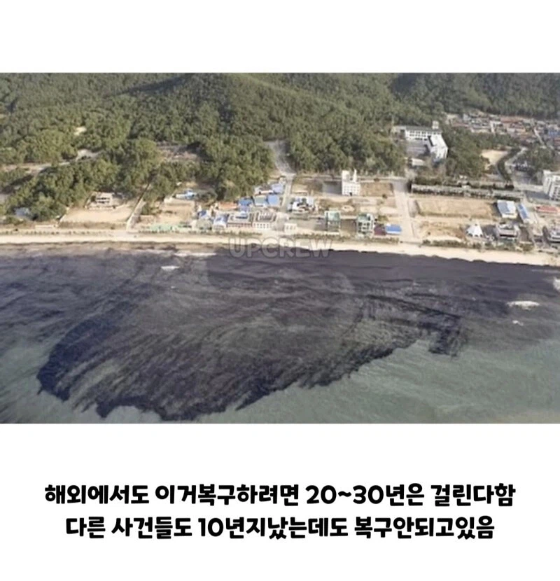 ??? : 한국인들아 느그 그거 복구 20년 걸린다