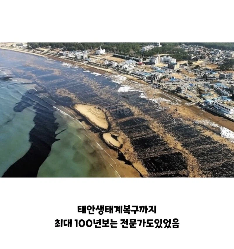 ??? : 한국인들아 느그 그거 복구 20년 걸린다