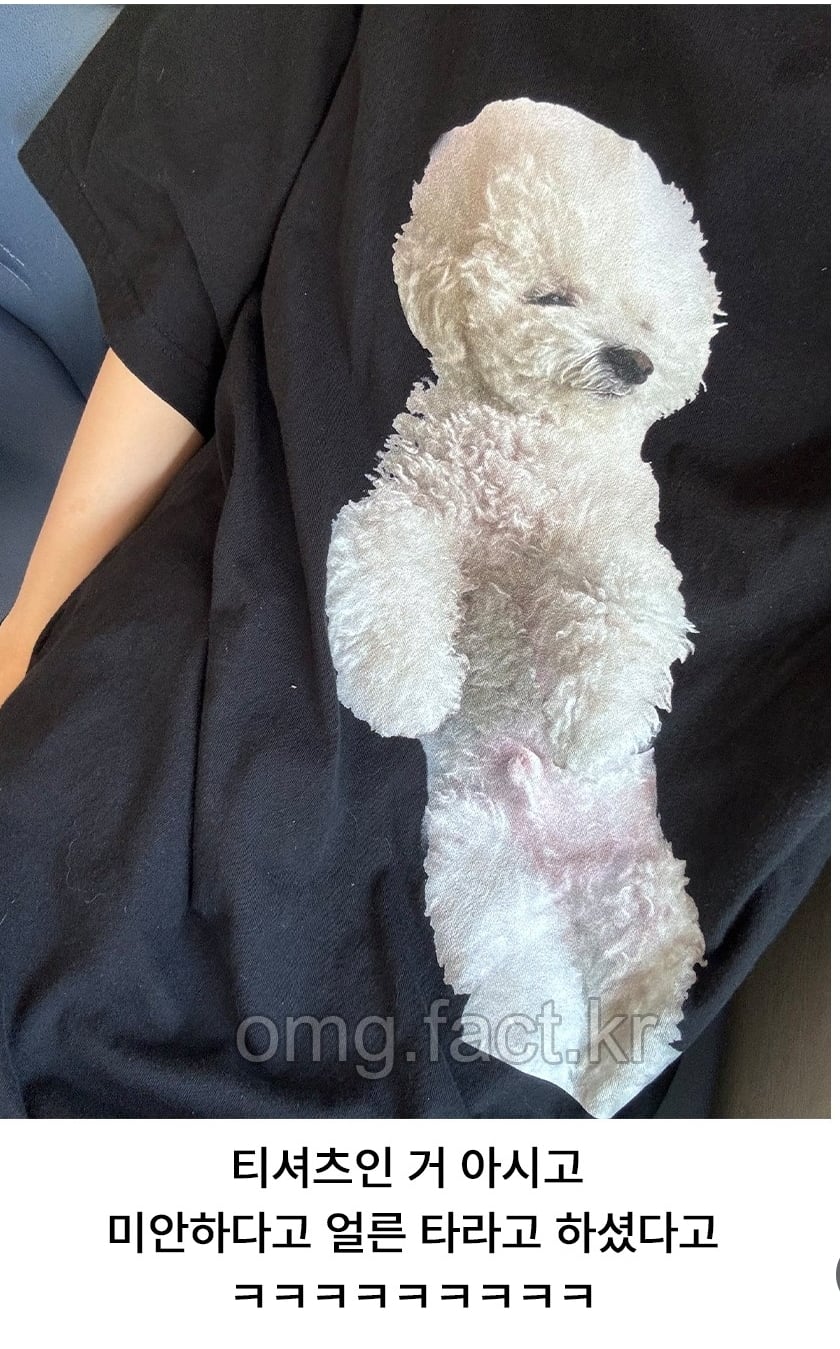 강아지 안고 택시 타면 안됩니다..