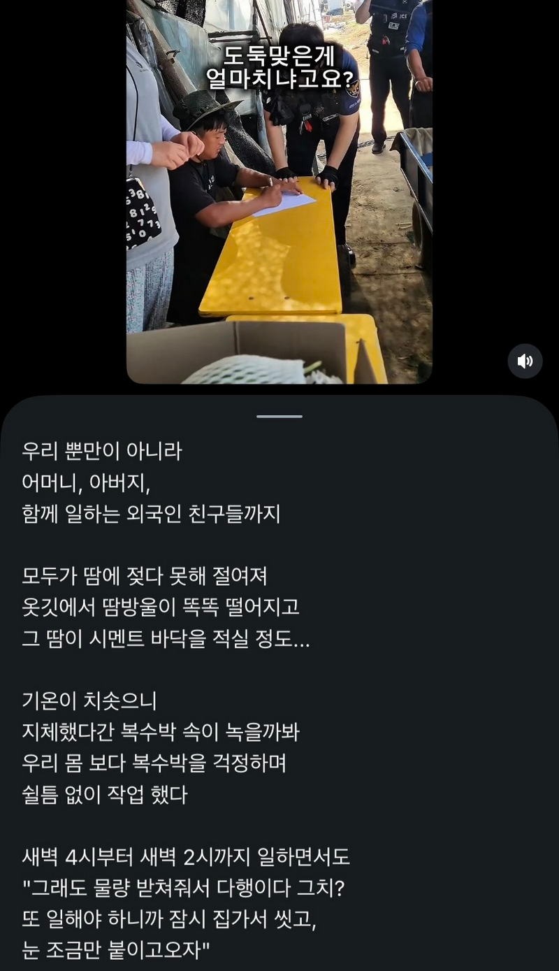 애써 지은 농작물을 짧은 틈에 도난 당했다