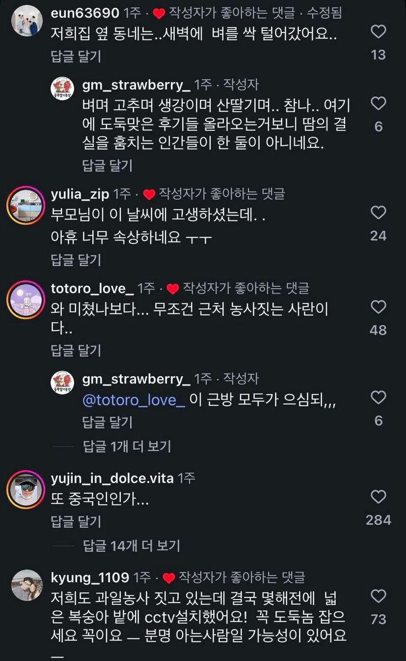 애써 지은 농작물을 짧은 틈에 도난 당했다