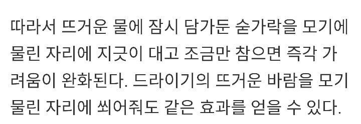 모기 물렸을 때, 이것만 기억하면 가려움 끝!