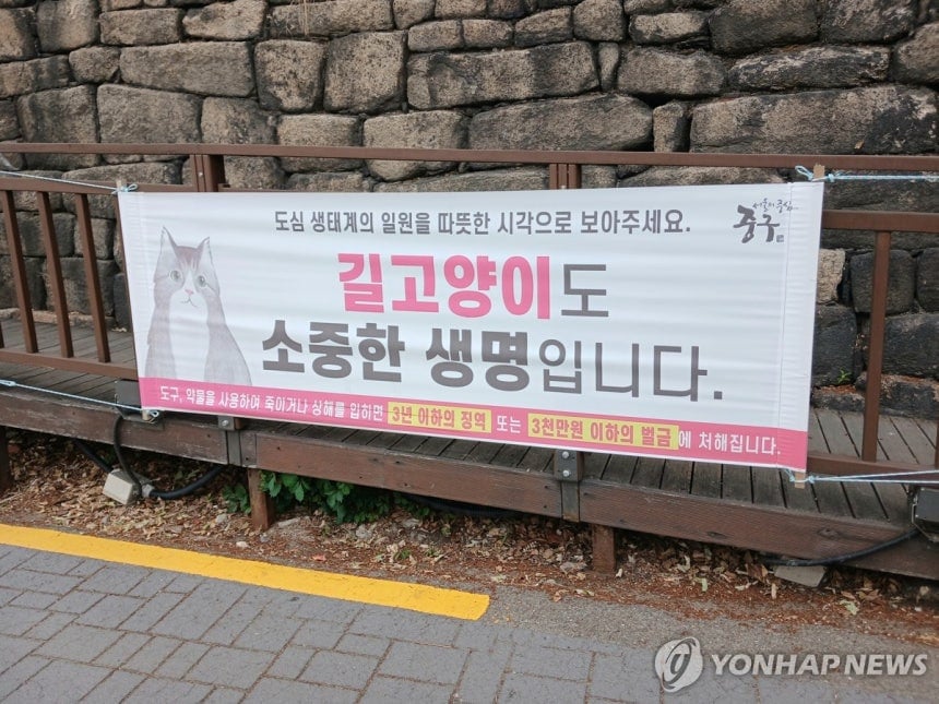 [시간들] 캣맘은 왜 공감을 잃었나