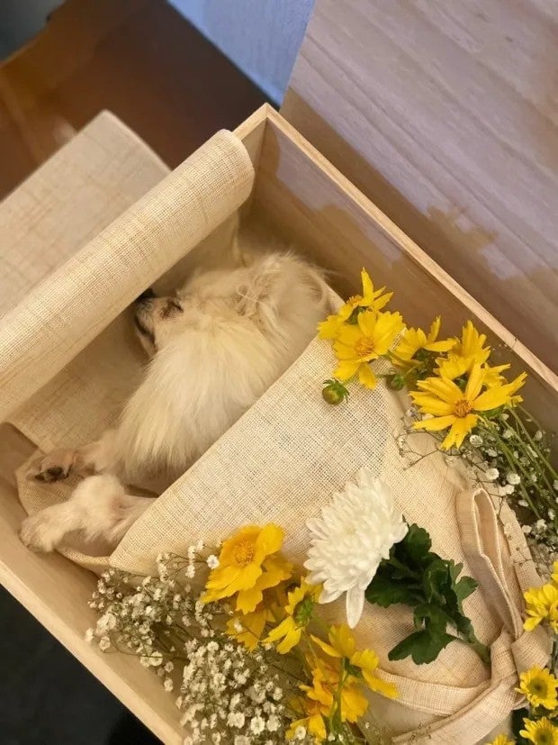 대표 : 어이 김대리. 왜이렇게 울어? 누가보면 사람 죽은줄 알겠어. 일에 집중좀 해