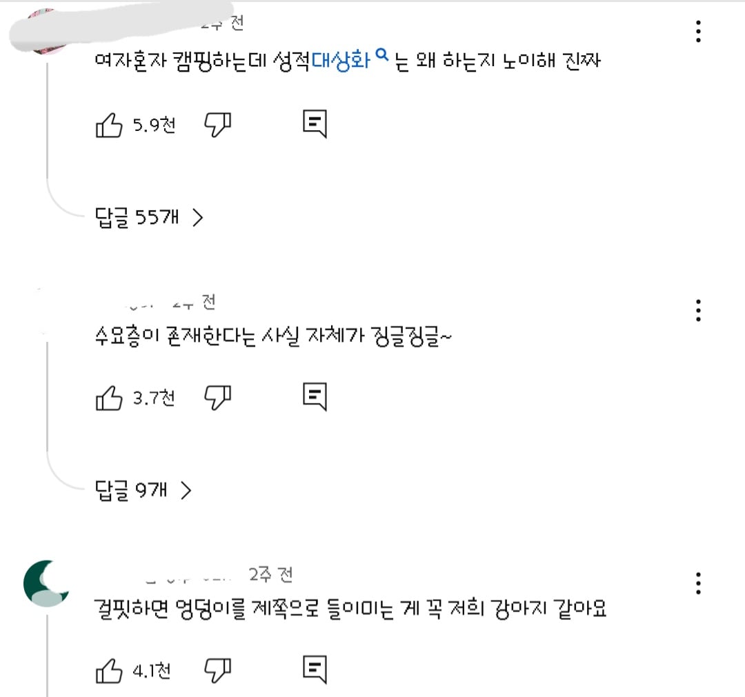 댓글들 난리난 노출 심한 차림으로 우중캠핑하는 일부 유튜버들 풍자한 엄은향