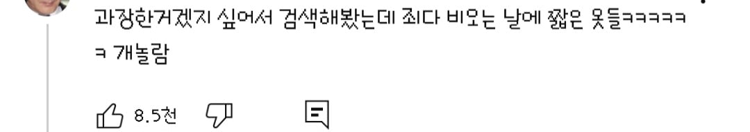 댓글들 난리난 노출 심한 차림으로 우중캠핑하는 일부 유튜버들 풍자한 엄은향