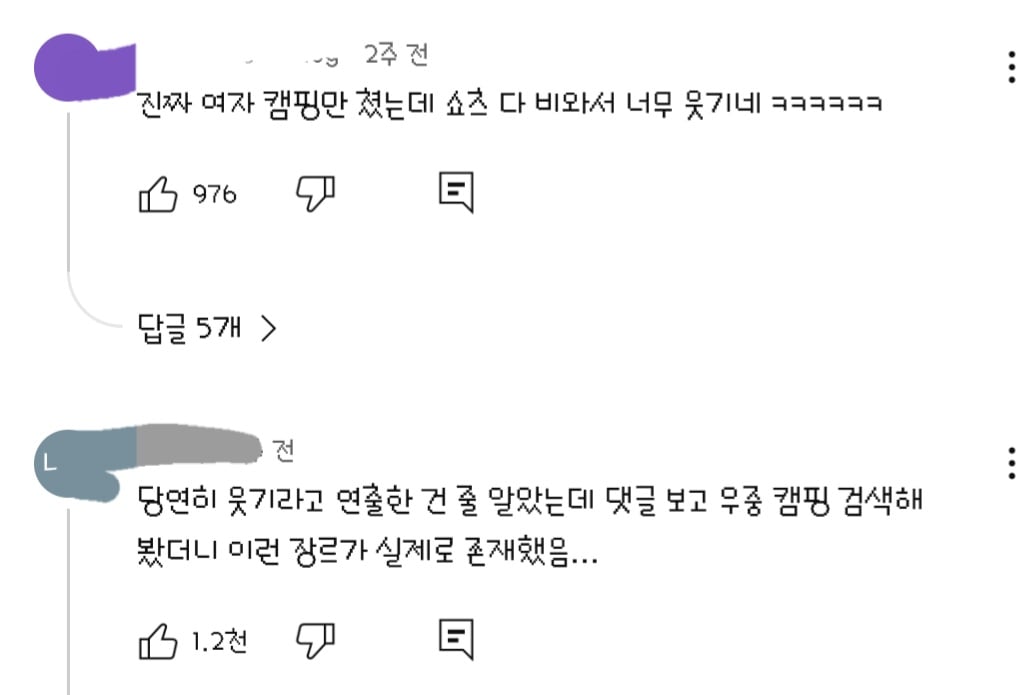 댓글들 난리난 노출 심한 차림으로 우중캠핑하는 일부 유튜버들 풍자한 엄은향