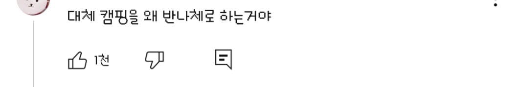 댓글들 난리난 노출 심한 차림으로 우중캠핑하는 일부 유튜버들 풍자한 엄은향