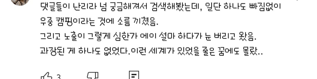 댓글들 난리난 노출 심한 차림으로 우중캠핑하는 일부 유튜버들 풍자한 엄은향