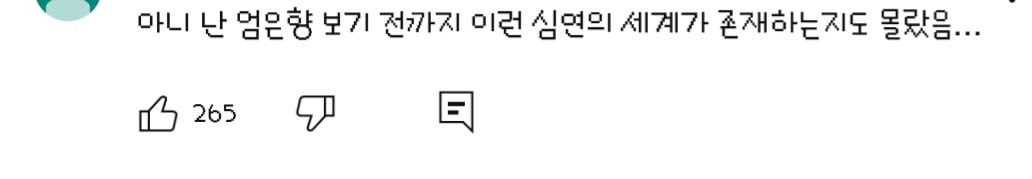 댓글들 난리난 노출 심한 차림으로 우중캠핑하는 일부 유튜버들 풍자한 엄은향