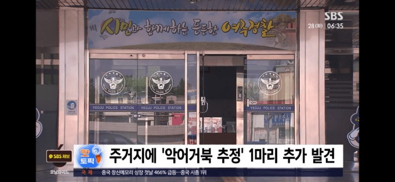 샴악어 주인 찾았다진술서 유기한 게 아니라news