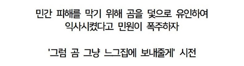 곰 익사시켰다고 난리난 일본news