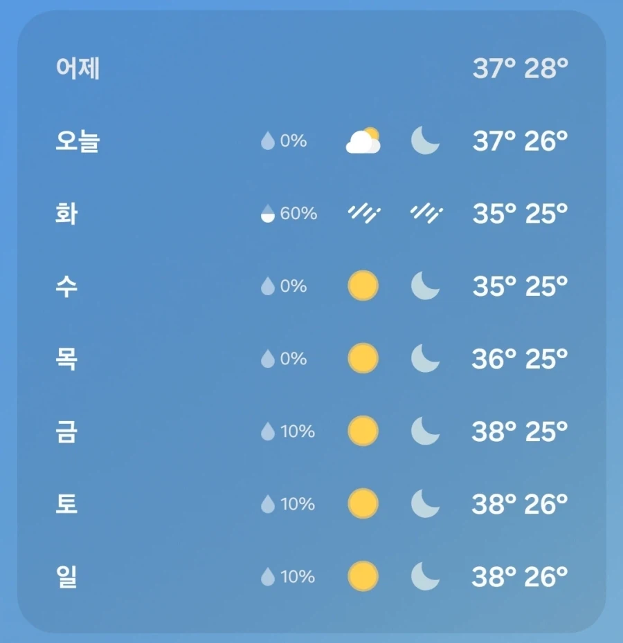 대구 돈키호테 할만 할지도?