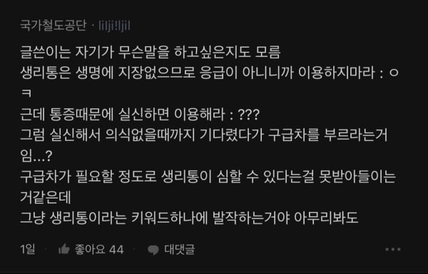 블라인드) 생리통이 119 구급차 부를 정도야?