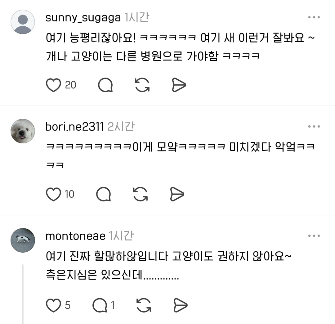 우리동네 미스테리 ⋯ 동물병원 원장님이 개를
