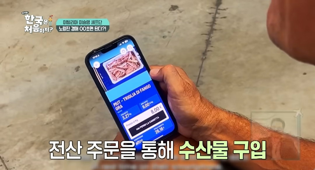 [어서와한국은처음이지]한국 수산 시장에서 아직도 구식 경매 방식을 선호하는 이유