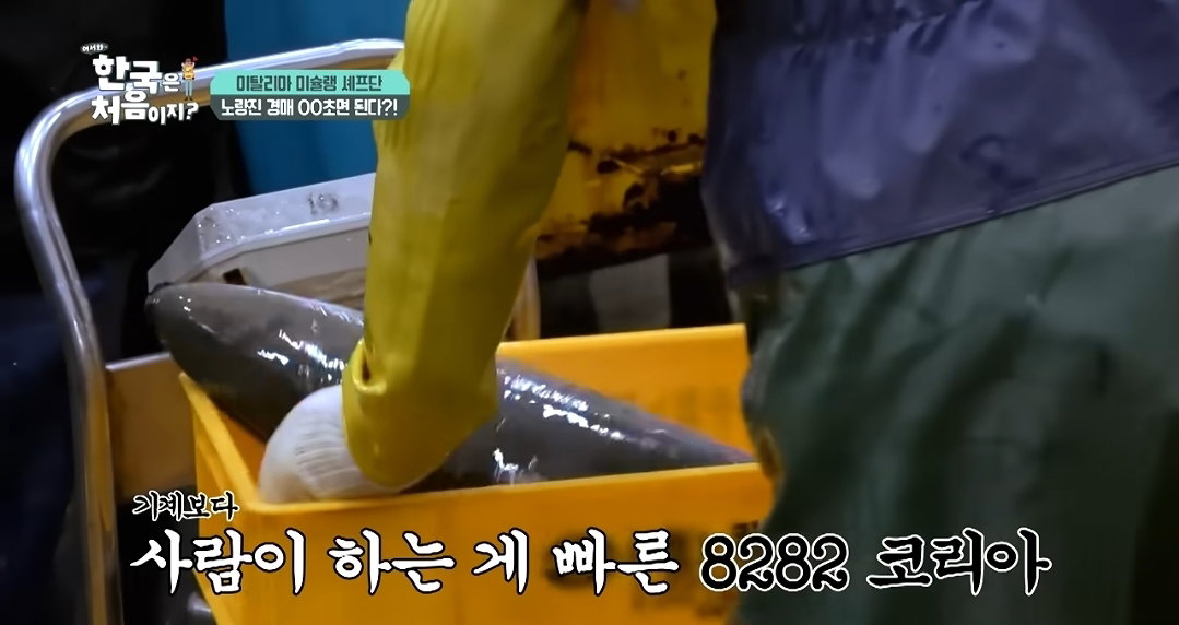 [어서와한국은처음이지]한국 수산 시장에서 아직도 구식 경매 방식을 선호하는 이유