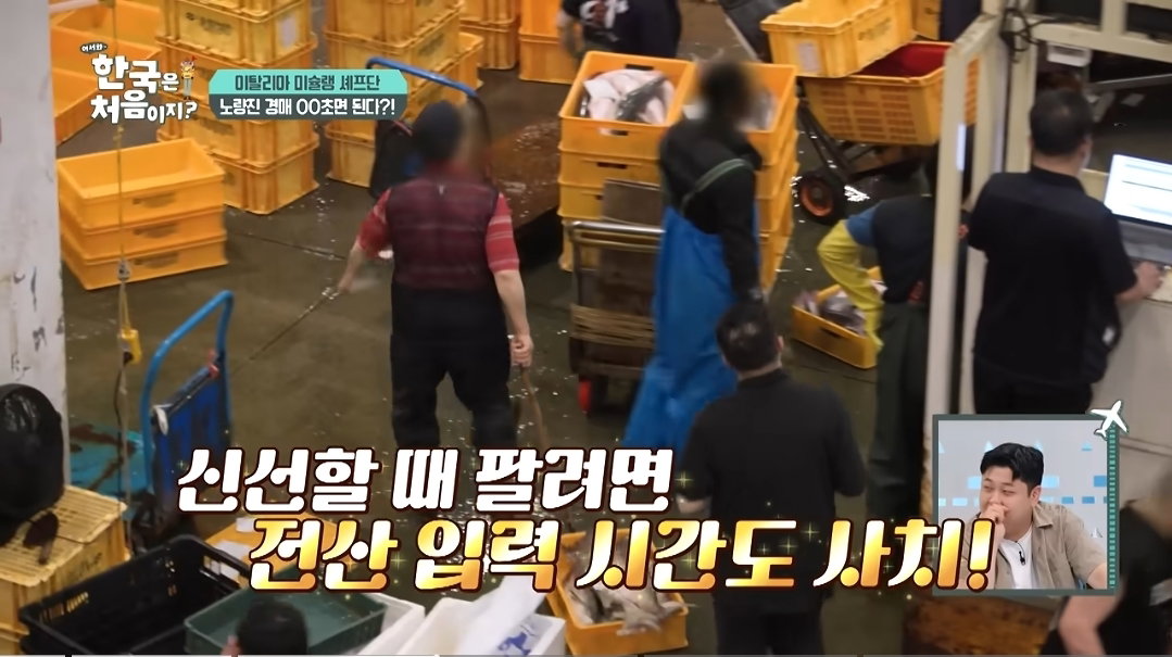 [어서와한국은처음이지]한국 수산 시장에서 아직도 구식 경매 방식을 선호하는 이유