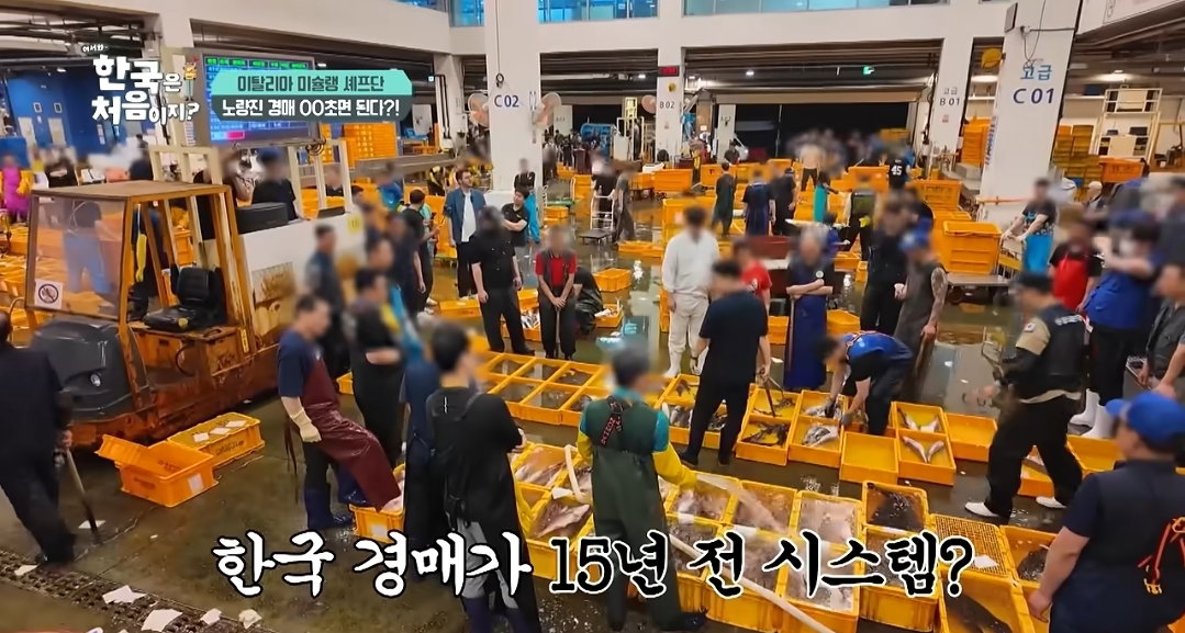 [어서와한국은처음이지]한국 수산 시장에서 아직도 구식 경매 방식을 선호하는 이유