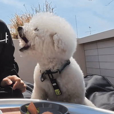 [채널십오야] 다이어트 중 치팅데이가 무서운 이유