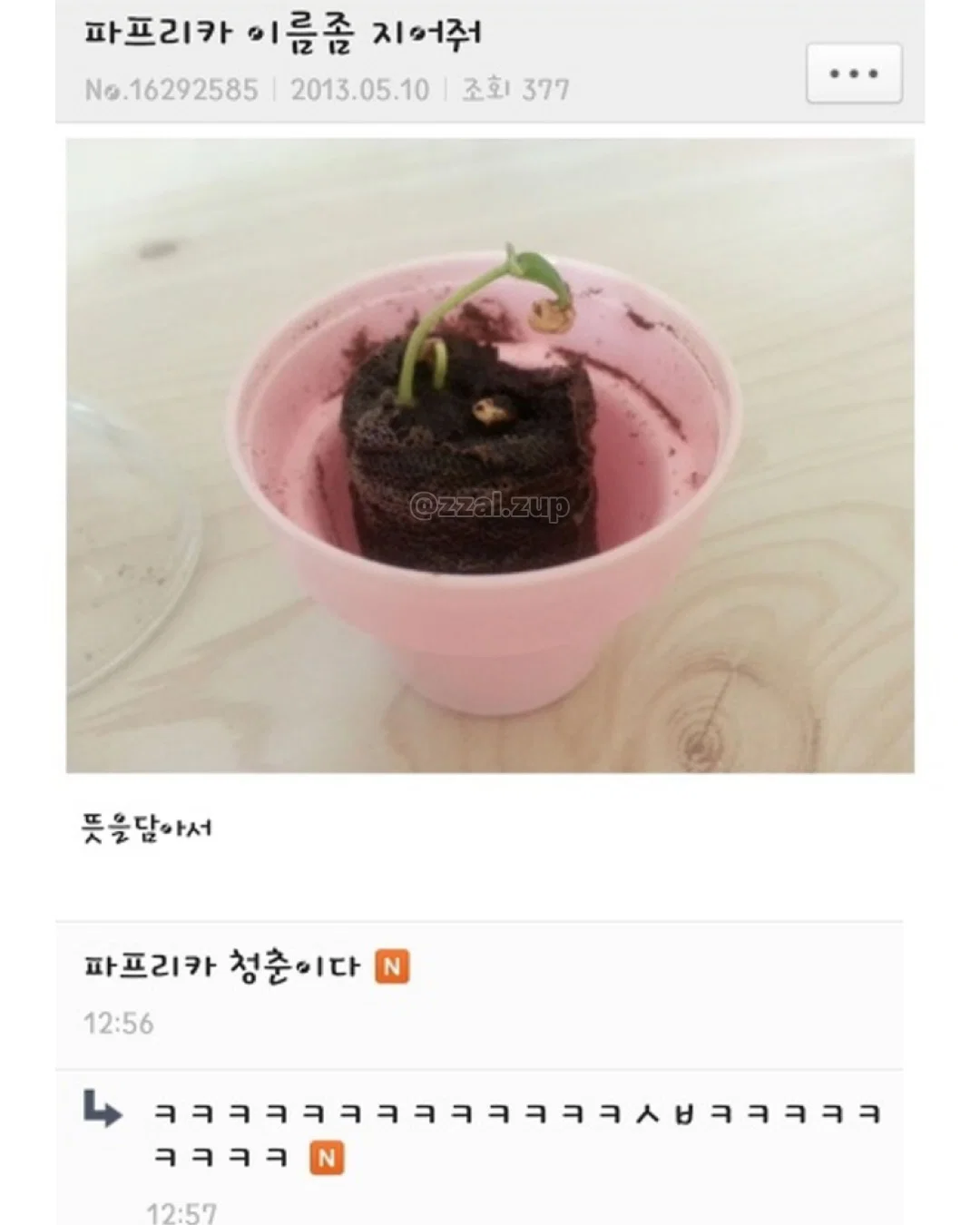 진지는 잡수셨냐 이런 느낌의 반존대 또 뭐가 있을까