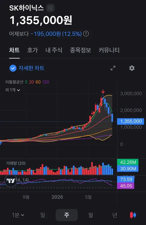 요즘 반도체 섹터 주식 차트가 하이먼 민스키 모델을 빼다박은거같네요