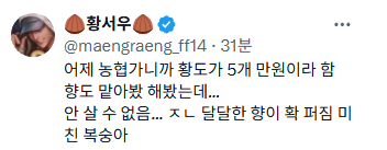 올해 경상도 쪽으로 비가 덜 내려서 복숭아 작황이 끝내준다고 하니 많이 사드십쇼