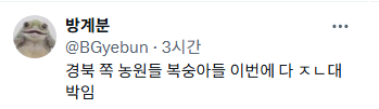 올해 경상도 쪽으로 비가 덜 내려서 복숭아 작황이 끝내준다고 하니 많이 사드십쇼