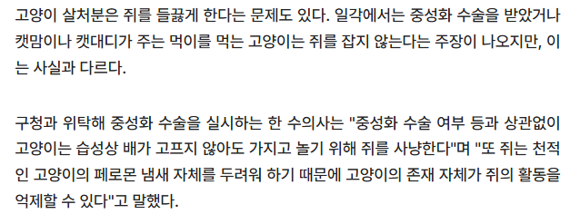 과거에 고양이 살처분을 시행했던 서울시 종로구