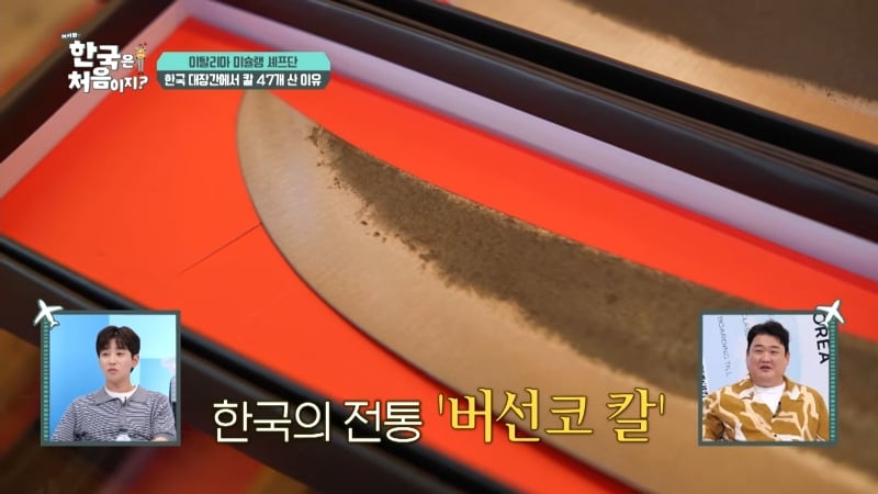 코탈리안 파브리가 알려주는 우리나라 전통 식칼이 버선코 모양인 이유