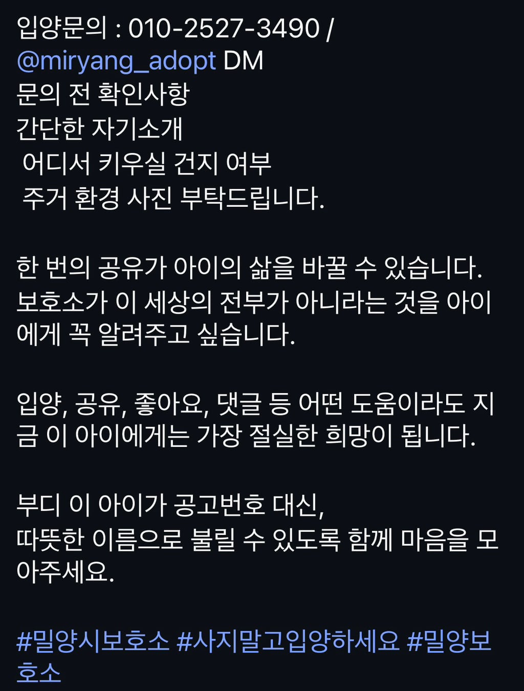 7월 안락사 목록을 소개합니다 (3일 남음)