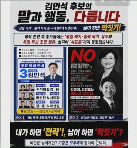 [투표지침] 김민석이 선관위에 2분할 3분할투표 신고 했다고 해서
