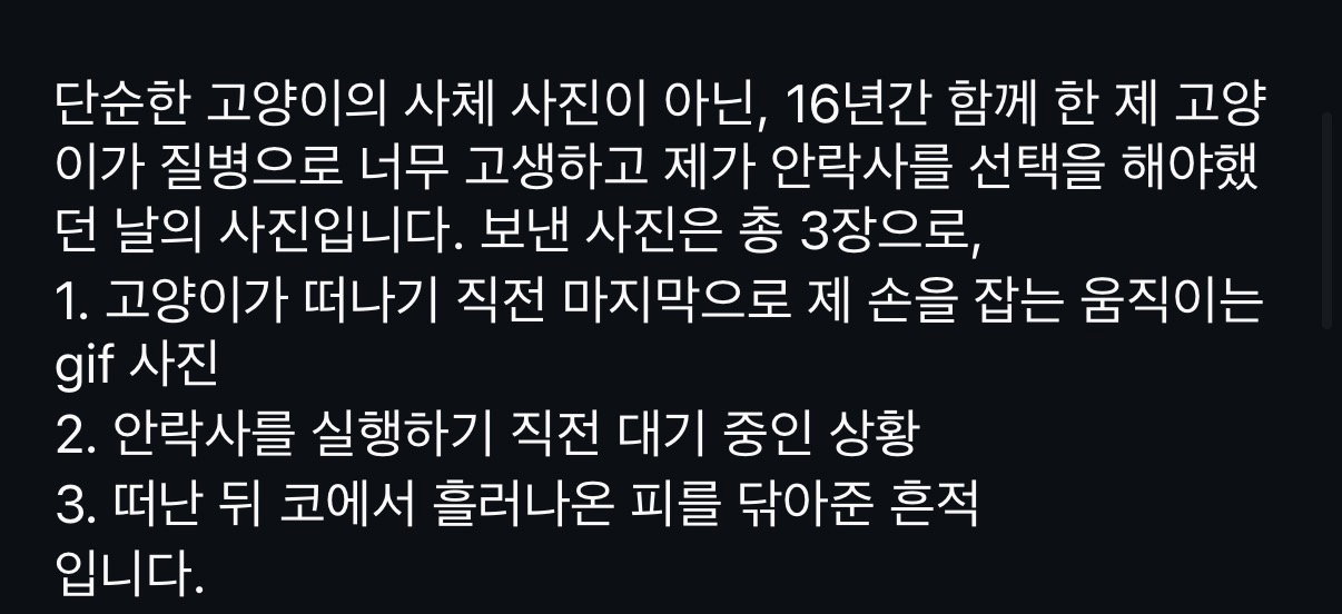 황정민 관련 여성분 인스타 (+ 고양이 건 진실)