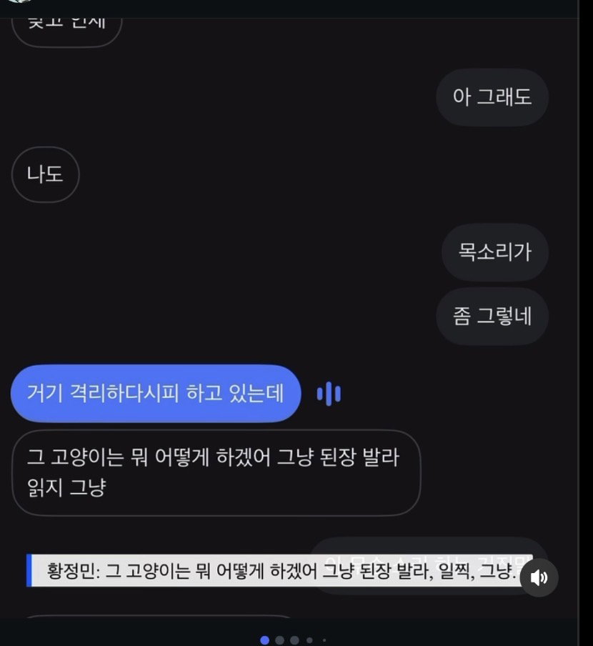 황정민 관련 여성분 인스타 (+ 고양이 건 진실)