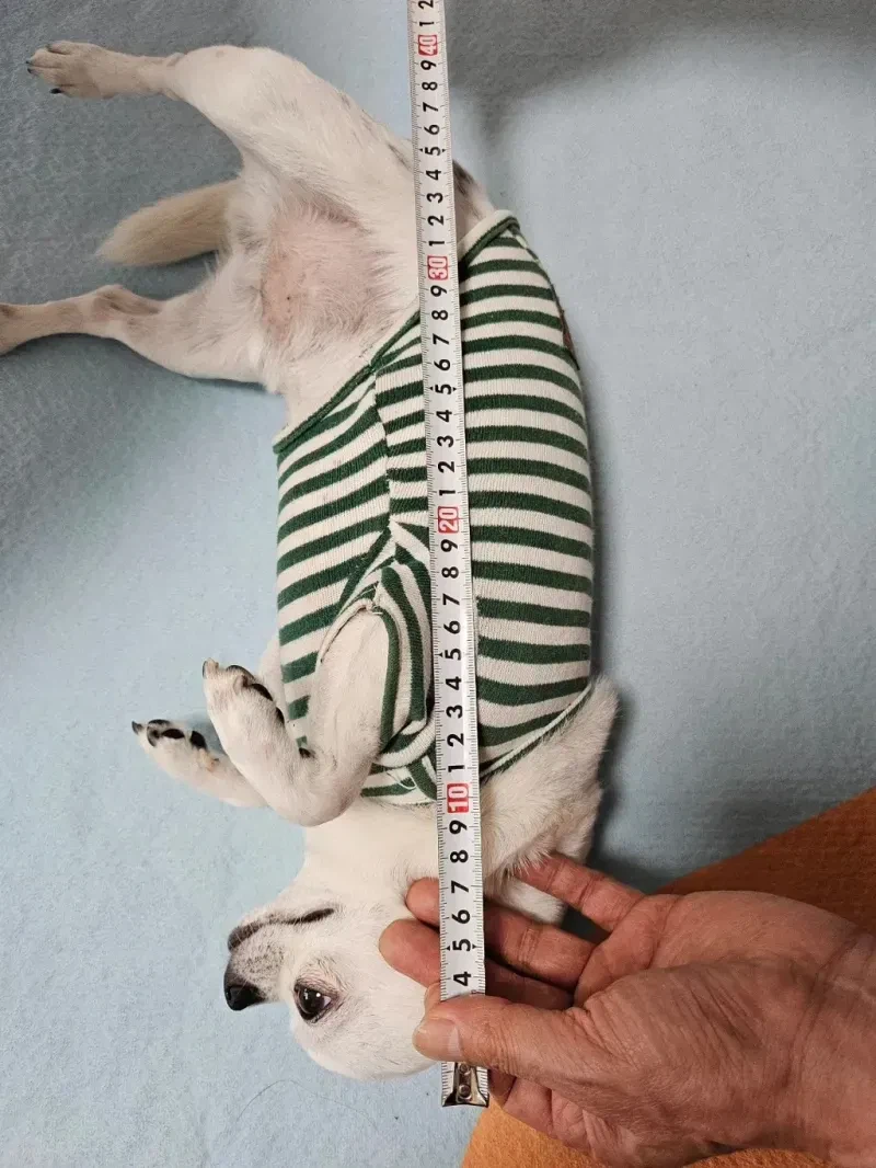 당근에 계집 올려놨는데 문의 옴